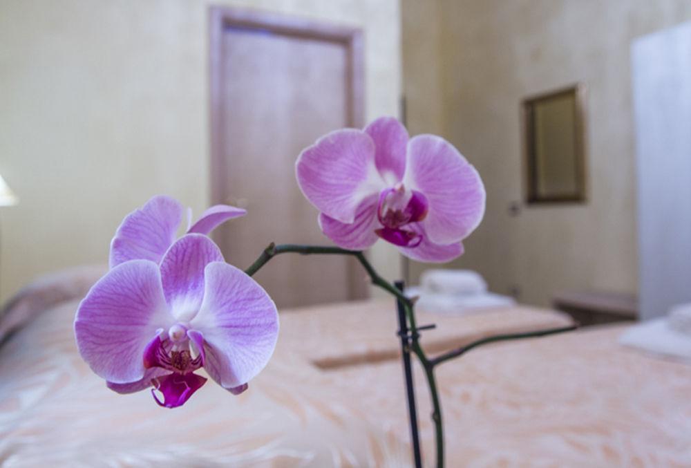 Residenza D'epoca Giardino Corsini Hotel Florencia